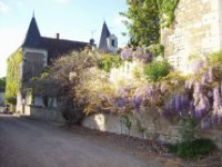 /album/photos-jardins-et-village/b9-jpg1/